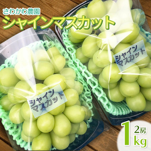 [令和8年産先行予約]シャインマスカット 1kg(2房)山形県鶴岡市産 さわかわ農園