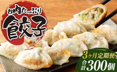 [3ヶ月定期便]お肉たっぷり餃子 約6kg(10個入×10パック×3回)