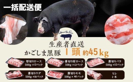 かごしま黒豚1頭まるごと 約45kg [一括配送便] 生産者直送 薩摩八重ファーム 工房みかく亭