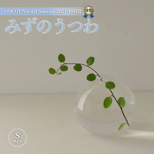 みずのうつわ　Sサイズ SMO001