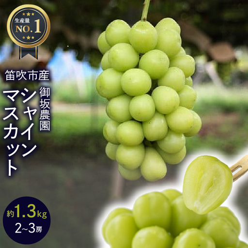 [2026年発送★先行予約]≪数量限定≫ 御坂農園 シャインマスカット 1.3kg 005-003