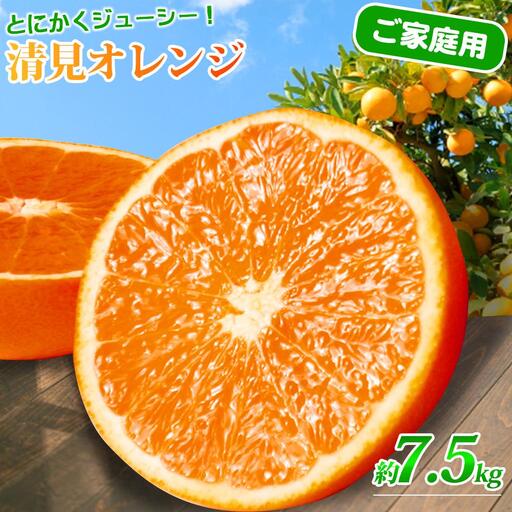 ［ご家庭用訳アリ］紀州有田産清見オレンジ　7.5kg［2027年3月下旬以降発送］［先行予約］［UT54w］