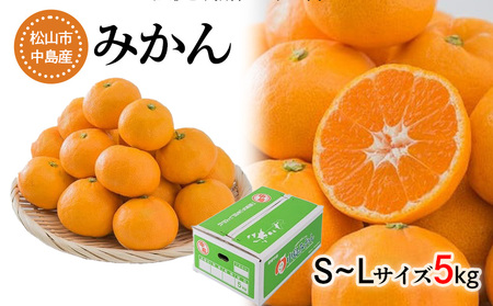 中島産 みかん S～L サイズ 5kg 温州 みかん【FA0141】
