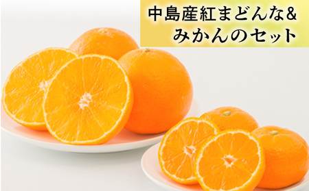 [2026年11月中旬頃から順次発送] 「中島産紅まどんな」と「中島みかん」のセット ( 紅まどんな 柑橘 フルーツ まどんな みかん 愛媛 みかん 紅まどんな 蜜柑 紅まどんな )[FA0332]