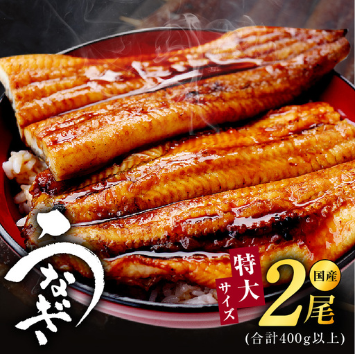 【特大2尾】国産うなぎ 400g以上