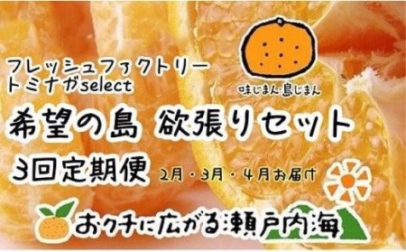 [3回定期便] 希望の島 欲張りセット 3回定期便(2月・3月・4月お届け) みかん 柑橘 はるみ 不知火 サマー清見 愛媛県産 みかん 柑橘 定期便[FT0271]