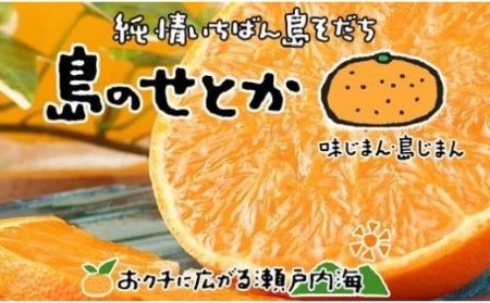 【せとか】【2027年3月上旬頃から順次発送】 ＜L～3L＞ せとか 約3kg 10～15玉 愛媛県松山市 【FT034_x】