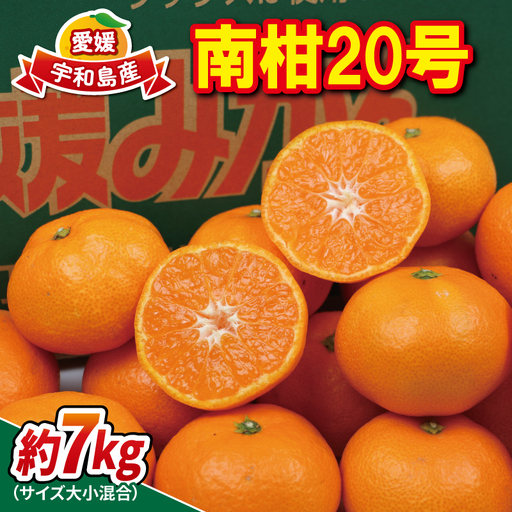 【温州】南柑20号大小混合7kg南四国ファーム温州 B012-035010