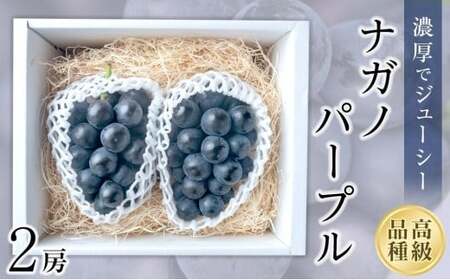 【2026年8月中旬頃から順次発送】 ぶどう ナガノパープル 2房 約 1.1kg | 新着 人気 フルーツ くだもの マスカット ぶどう 早朝 収穫 朝採れ ギフト 贈答 期間限定 ナチュラルファームｅｎ 【GL003】