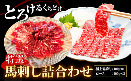 特選馬刺し詰め合わせ Dセット 2種類 合計300g 極上霜降り 100g ロース 100g×2パック 有限会社七城町特産品センター《90日以内に出荷予定(土日祝除く)》熊本県 菊池市 肉 馬肉 馬刺し セット 食べ比べ ブロック 霜降り 送料無料
