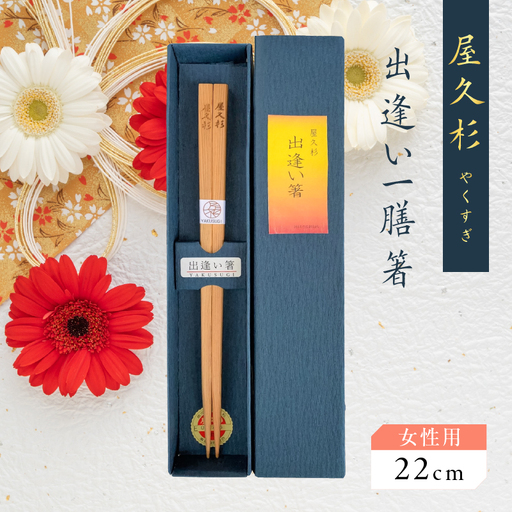 屋久杉 出逢い 一膳 箸 女性用（ 22cm ） K042-007_1
