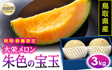 鳥取県産朱色の宝玉（大栄メロン）3kg【期間･数量限定】_T2600612