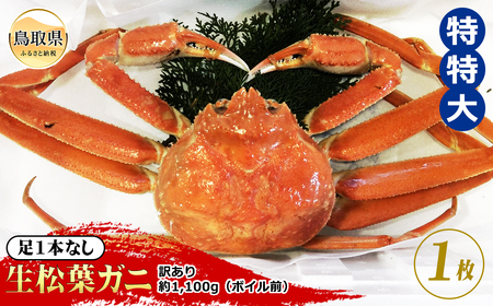  【魚倉】足1本なし生松葉ガニ訳あり 特特大 約1,100g【期間限定】_T2600164