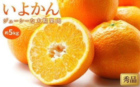 [2027年1月中旬頃から順次発送]いよかん[秀品]約5kg ( 愛媛産 愛媛県産 国産 愛媛みかん 愛媛蜜柑 ミカン みかん ミカン mikan 蜜柑 柑橘 フルーツ 果物 くだもの お取り寄せ 産地直送 数量限定 人気 おすすめ 愛媛県 松山市 送料無料 )[KK0591]