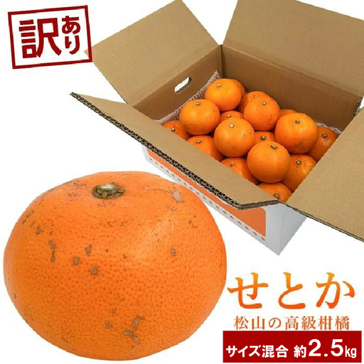 【訳あり】 せとか 約2.5kg 【2027年2月中旬頃から順次発送】 【せとか】【KK0743】