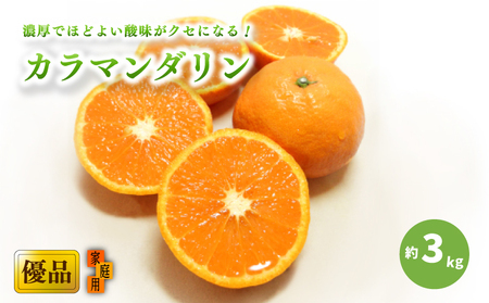 [2027年4月上旬頃から順次発送]カラマンダリン 家庭用(優品) 約3kg ( 愛媛産 愛媛県産 国産 愛媛みかん 愛媛蜜柑 ミカン みかん ミカン mikan 蜜柑 柑橘 フルーツ 果物 くだもの お取り寄せ 産地直送 数量限定 人気 おすすめ 愛媛県 松山市 送料無料 )[KK0772]