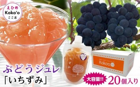 ＜大容量＞「いちずみ」ぶどうジュレ　２０個入り　(ココオ簡易BOX入り) おすすめ 人気 ギフト セット 愛媛県 松山市【KK0821】