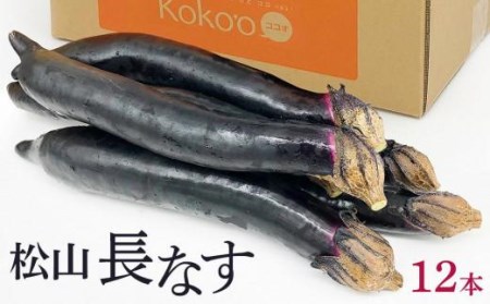 【2026年9月中旬頃から順次発送予定】 松山 長なす　12本入り【KK0901】