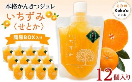 本格かんきつジュレ「いちずみ」＜せとか＞　12個入り（簡易BOX入り）【KK1051】