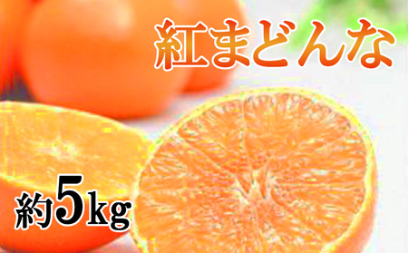 紅まどんな ご家庭用 約5kg | 紅まどんな まどんな【KW0095】