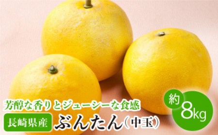 [数量限定]文旦(ぶんたん) 中玉 約8kg[OAF002] 文旦