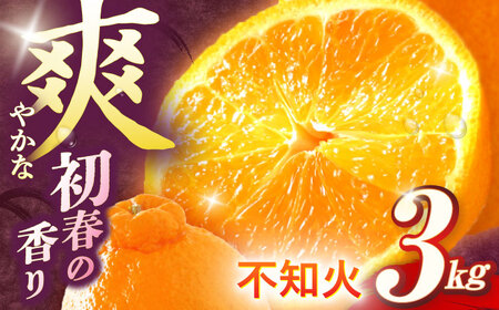 【先行受付】不知火(しらぬい) 袋掛け 約3kg[OAG004]