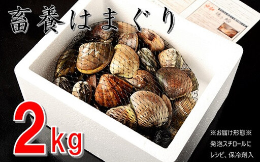 [満点☆青空レストランでご紹介]桑名はまぐり屋 蓄養はまぐり 3年〜6年もの 2kg_ はま王 蛤 ハマグリ 魚介 貝 魚貝 活 焼きはま 海鮮 網焼き 酒蒸し お吸い物 パエリア パスタ 焼き 蛤 md01 テレビ 紹介