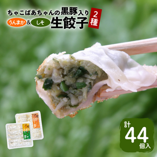 ちゃこばあちゃんの黒豚入りうんまか・しそ生餃子 計44個入り K027-004 肉 豚肉 惣菜 総菜 冷凍