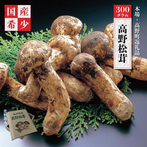 【2026年発送分】希少な国産松茸「高野松茸」300g【化粧箱入】香り・歯応え・味ともに最高級！