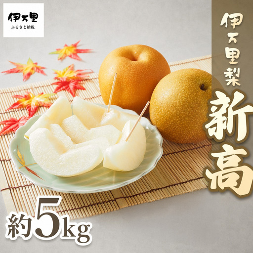 [令和8年産先行予約]伊万里梨「新高」 5kg 大型種