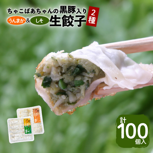 ちゃこばあちゃんの黒豚入りうんまか・しそ生餃子 計100個入り K027-006 肉 豚肉 惣菜 総菜 冷凍