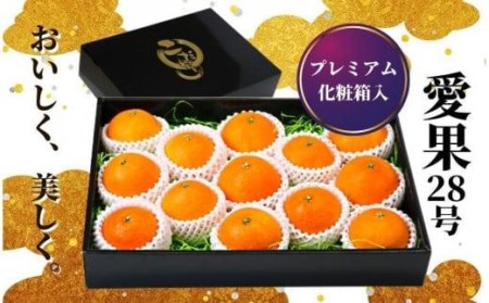 プレミアム 愛果28号 (紅まどんな と同品種) 化粧箱入 [2026年12月頃から順次発送] [PT003_x]