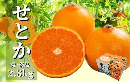 [2027年2月頃から順次発送][せとか] 秀~優品 約 2.8kg | 食べくらべ 愛媛 みかん 蜜柑 柑橘 果物 くだもの フルーツ お取り寄せ グルメ 期間限定 数量限定 人気 おすすめ 愛媛県 松山市[PT018_x]
