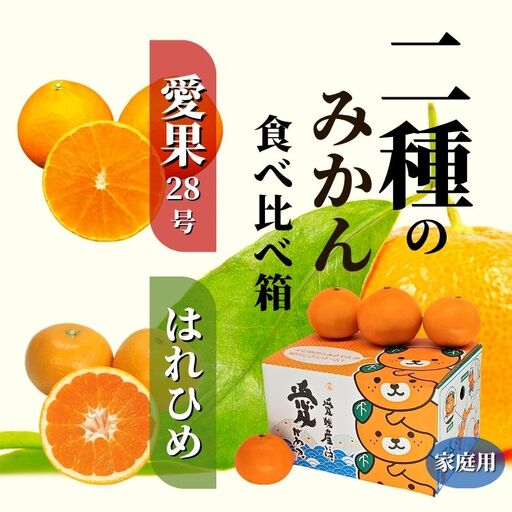 【2026年12月頃から順次発送】二種のみかん食べ比べ箱 愛果28号・はれひめ(家庭用) 約 2.8kg 食べくらべ 愛媛 みかん 詰め合わせ 蜜柑 柑橘 果物 くだもの フルーツ お取り寄せ グルメ 期間限定 数量限定 人気 おすすめ 愛媛県 松山市【PT0221】★みかんみかんみかんみかん