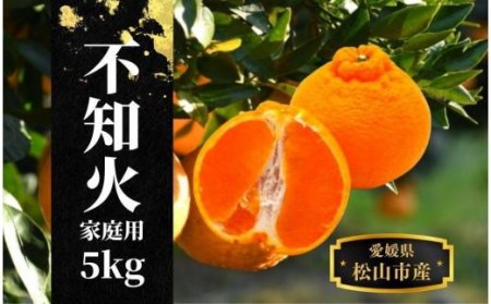 [不知火]家庭用 約 5kg [2027年3月中旬頃〜2027年4月頭頃発送]愛媛 松山 みかん 先行予約 蜜柑 柑橘 果物 くだもの フルーツ お取り寄せ グルメ 期間限定 数量限定 人気 おすすめ 愛媛県 松山市[PT028_x]