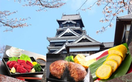 熊本名物セット① 馬刺し(赤身)100g 辛子れんこん300g 熊本和牛あか牛ハンバーグ150g×3 セット
