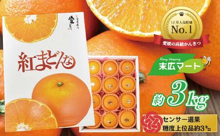 【正規化粧箱入】紅まどんな 約3kg 【2026年12月下旬ごろから順次発送】 | みかん 蜜柑 マドンナ 高級 愛媛 松山 お祝い ギフト 贈答 プレゼント【SHM001_x】