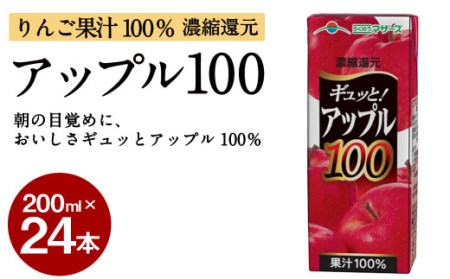 ギュッと! アップル100 200ml × 24本 合計4800ml りんご パックジュース