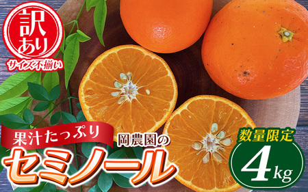 セミノール わけあり 訳あり 家庭用 みかん 数量限定 ミカン 訳あり品 サイズ混合 ご家庭用 / 岡農園のセミノール 約4kg[2027年3月下旬から4月下旬に順次発送予定][mok009B]