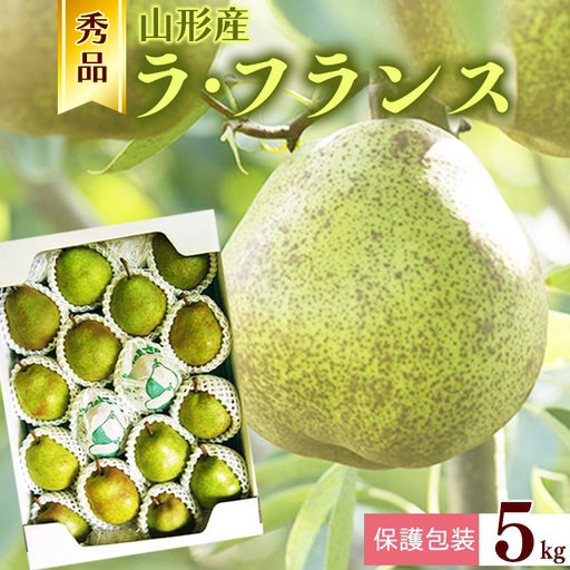 【保護包装品】令和8年産 秀品 洋梨「ラ・フランス」5kg サイズおまかせ 山形県産【2026年10月末頃から12月上旬頃】　019-B-JA006