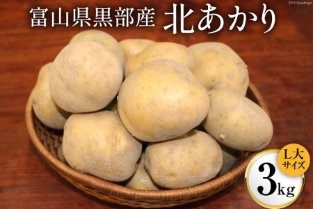 黒部産 じゃがいも（北あかり）3kg/くろべの太陽/富山県 黒部市 野菜 ジャガイモ 