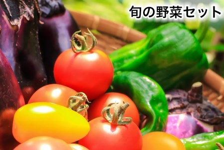 旬の野菜セット|新鮮 産直 農家 直送 野菜 埼玉 杉戸 [0206]