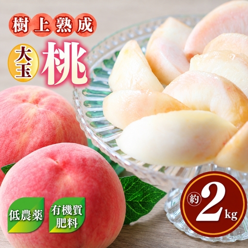 桃 ( 大玉 )約 2kg 箱 ( 6個 )|西岡農園