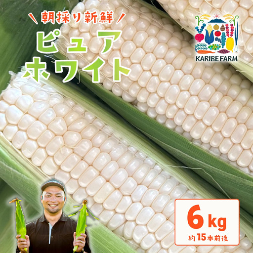 とうもろこし ピュアホワイト 約6kg 茨城県産 トウモロコシ