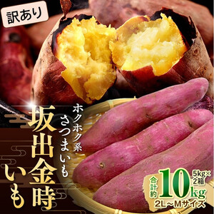 [2026年8月下旬以降発送・先行予約][訳あり]坂出金時いも 約5kg×2箱 2L〜Mサイズ | さつまいも サツマイモ