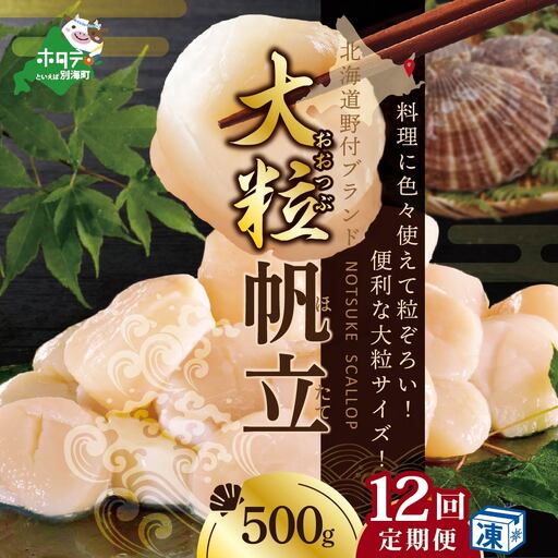 【毎月12ヶ月定期便】 北海道 野付産 漁協直送 冷凍ホタテ 貝柱大粒ホタテ500ｇ 【NKM12ND01】 （ ほたて ホタテ 帆立 貝柱 玉冷 北海道 野付 別海町 人気 ふるさと納税 ）