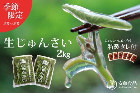 生じゅんさい2kg ゆずタレ6個 《冷蔵》（2027年5月上旬頃～7月下旬までに発送予定） 令和9年産 2027年産 先行受付  秋田県産 三種町産
