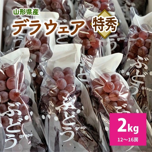 ぶどう（デラウェア）特秀品　0079-2610