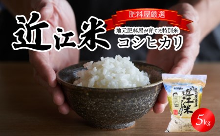 【令和7年度産】肥料屋厳選近江米コシヒカリ５㎏　モリタ肥料店 お米  近江米 DI-0003