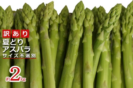 [2026年発送]ご家庭用訳あり夏どりアスパラ(S〜2Lサイズ・2kg)_H156(R8)